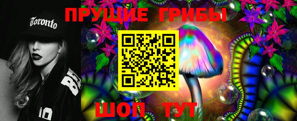 Бошки Шишки Дальнереченск